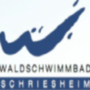 (c) Waldschwimmbad-schriese.de